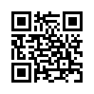 QR CODE 319