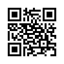 QR CODE 329