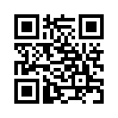 QR CODE 343