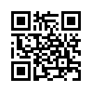 QR CODE 394