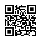 QR CODE 461