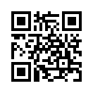 QR CODE 494