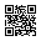 QR CODE 506