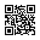 QR CODE 513