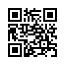 QR CODE 524