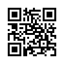 QR CODE 528