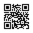 QR CODE 529