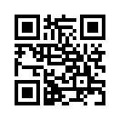 QR CODE 538