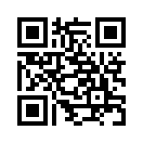 QR CODE 542