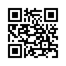 QR CODE 551