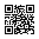 QR CODE 736