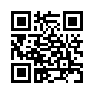 QR CODE 737