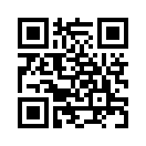 QR CODE 813