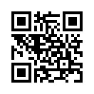QR CODE 868