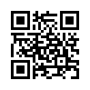 QR CODE 877