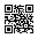QR CODE 878