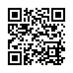 QR CODE 31