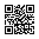 QR CODE 53