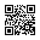 QR CODE 2081