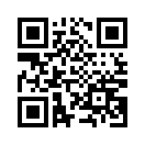 QR CODE 2393