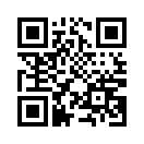 QR CODE 2538