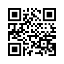 QR CODE 2817