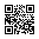 QR CODE 3009