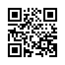 QR CODE 3060