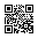 QR CODE 3231