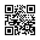 QR CODE 3239