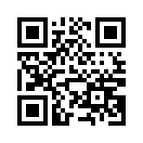 QR CODE 3346