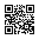 QR CODE 3782