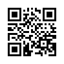 QR CODE 4251