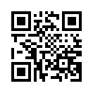 QR CODE 6633