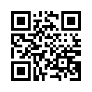 QR CODE 6695