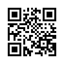 QR CODE 7731