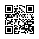 QR CODE 8000