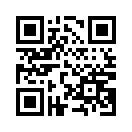 QR CODE 8004
