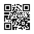 QR CODE 8029