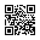 QR CODE 8383