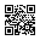 QR CODE 8658