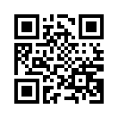 QR CODE 8733