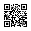 QR CODE 9110
