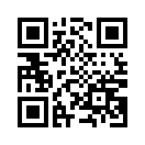 QR CODE 9113