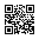 QR CODE 9160