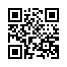 QR CODE 9172