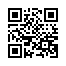 QR CODE 9173