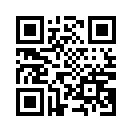 QR CODE 9233