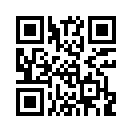 QR CODE 110