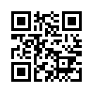 QR CODE 133